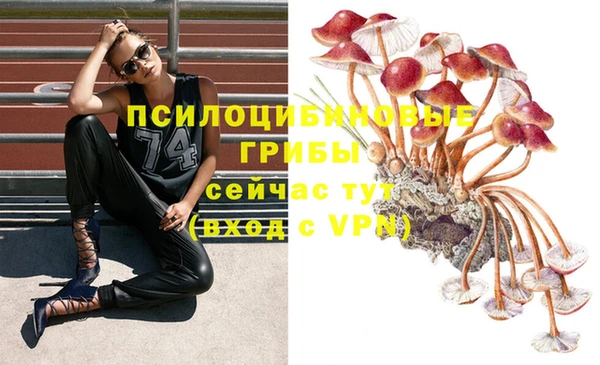 скорость mdpv Абаза